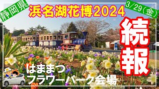 【浜名湖花博2024】続報。開幕から6日、撮影3/29（金）現在の状況報告です。はままつフラワーパーク開幕時の動画と見比べて頂いて来訪日のヒントにしていただけたら幸いです。