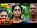 Moondru Mudichu - Special Promo | 13 Sep 2024 | Tamil Serial | Sun TV