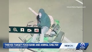 Clovis PD investigating after thieves target food bank and animal shelter