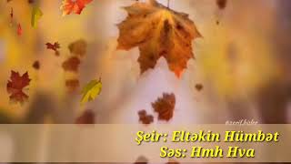Eltəkin Hümbət - Ayrılıq