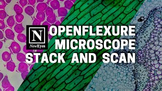 OpenFlexure Microscope Stack and Scan