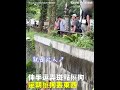 太誇張！台北動物園刺青男玩命跨欄「手賤挑釁鬣狗」網友怒了　園方氣炸喊告：依法究辦｜三立新聞網 SETN.com