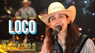 Los Dorados - Loco (En Vivo)