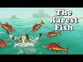 Rare Material Farming | Hearty Salmon in Zelda Breath of the Wild | BotW