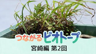 宮崎は水田の土をもらって、ビオトープに追加してみた「つながるビオトープ」