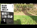 당신의 제품과 서비스가 팔리지 않는 이유 고객의 마음속에 숨어 있는 진짜 욕망과 니즈를 찾아내는 방법