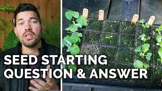 Answering 18 of Your Seed Starting Questions!