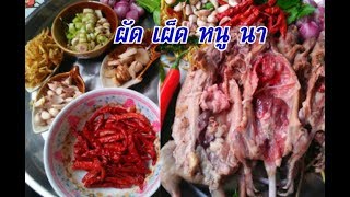 ผัดเผ็ดหนูนา เครื่องสมุนไพรแน่นๆ ของฝากจากบ้าน แซ่บๆ #สูตรสาวยโส