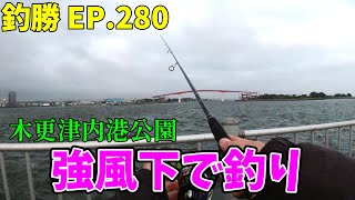 EP.280【千葉内房釣り】（初）強風の木更津内港公園で釣り