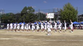 紫野高校学園祭 2014　3年4組 Let's Marry