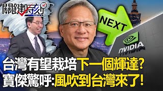 Taiwan is expected to cultivate the next Nvidia! ?