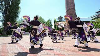 13 大雪風神会 [YOSAKOIソーラン祭り2024 サッポロガーデンパーク会場]