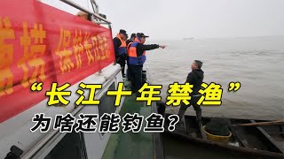 长江十年禁渔，为啥还能钓鱼？钓鱼佬为啥成了“打窝仙人”？