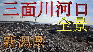 181【釣り場】三面川河口（磯）新潟県　釣り　村上市　2024年11月9日クロダイ　サバ　エソ　Niigata Prefecture Fishing Murakami City