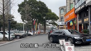 浙江余姚街头现状，今天中午12点28分，余姚四明西路