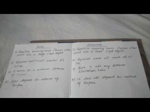 What is the difference between Echo and reflection?