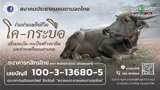 สมาคมประชาคมคนตาบอดไทย เชิญร่วมทำบุญไถ่ชีวิตโค-กระบือ | 06-07-66 | ไทยรัฐนิวส์โชว์