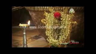 New Brahma Ratha to Udupi Sri Krishna by Shree Vishwavallabha Thirtha Swamiji