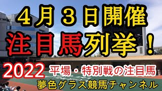 【注目馬列挙・平場予想】2022年4月3日JRA平場特別戦！土曜日はインプレスが勝利！中山は菅原明良騎手に注目？