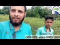 কাশ্মিৰী আপেল বগৰী ফুল আহিলে কি কৰিব।kasmiri apple ber farming assam