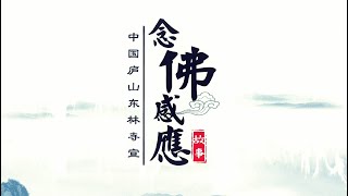 念佛感應故事第二集【原創視頻】-廬山東林寺