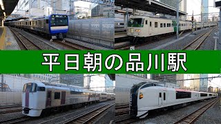 平日朝の品川駅　最後の湘南ライナー他　185系・215系