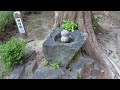 【パワースポット】宇賀神社今宮【spiritual place.】