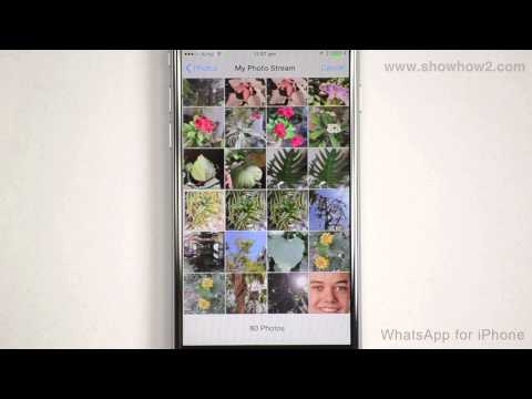 WhatsApp For iPhone - How To Change Your Profile Photo WhatsApp For iPhone - How To Change Your Profile Photo