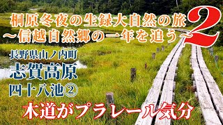 【桐原冬夜の生録大自然の旅２】 ～信越自然郷の一年を追う～ 長野県山ノ内町 志賀高原 四十八池②【トレッキング 長野県の自然 新潟県の自然】