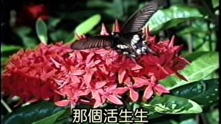 空海法師-2001阿含解脫道次第13-1/20-4