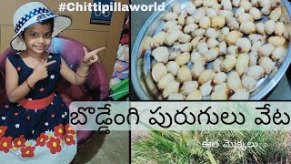 ##బొడ్డేంగులు వేట ధారకొండ ఘాట్ ##