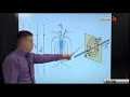 30.05 Телешкола Кубани. 11 класс. Физика химия биология