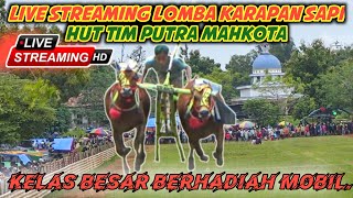 Live Streaming Lomba Karapan Sapi HUT Tim Putra Mahkota Kelas Besar Di Lap BanyuBunih Galis.