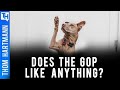 Do Republicans Like ANYTHING?