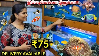 இது கூட வளக்கலாமா😳 கண் கவரும் கடல் மீன் Aquarium 🤯💥