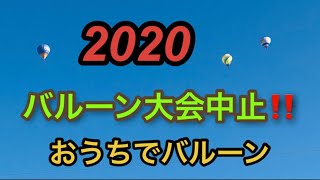 2020  おうちでバルーンを見よう。