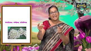 தொடக்கநிலை  ,உயர் தொடக்கநிலை | ,இல்லம் தேடிக்கல்வி|தமிழ்|   kalvitv |