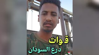 محمد عمر الشكري يتحدث عن قـ ـوات درع السودان