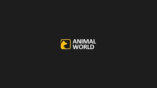Animal World Channel Trailer
