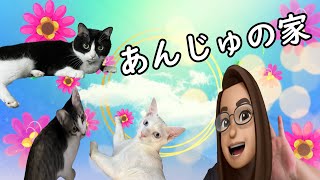 ユンタクカフェ  令和5年9月16日（土）