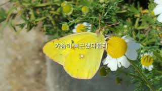 오늘의 약속 | 나태주