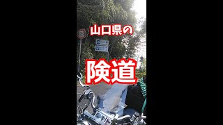 【山口県のとある険道】🏍確実に後悔します。　#ポンコツ夫婦の旅#嫁さん先生#酷道