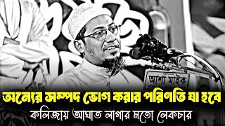 অন্যের সম্পদ ভোগ করার পরিণতি যা হবে | আনিসুর রহমান আশরাফি | Anisur rahaman ashrafi new waz 2024