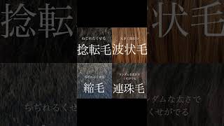 あなたはどれ？4種類のくせ毛診断✨