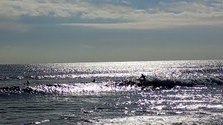 1/5 愛知県表浜海岸の様子 ＃海 ＃波 ＃サーフィン #スキムボード #beach #小松原海岸　#フォイルサーフィン