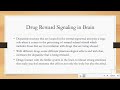 drugs of addiction and the brain sd 480p