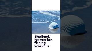 SHELLMET, Helmet from Waste Scallop Shells #designer #unique #shorts #architecture #design