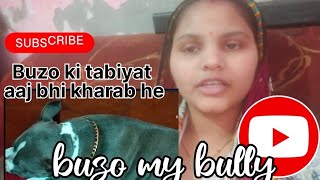 Buzo my bully ki tabiyat aaj bhi kharab he 🥺😔#dog #pet #doglover #viralvideo #video #viral