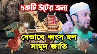 হযরত সালেহ ও লূত আঃ এর জীবনী, যেভাবে ধ্বংস হল সামুদ জাতি, আব্দুল হাই মুহাম্মাদ সাইফুল্লাহ ওয়াজ ২০২১