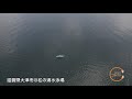 【dji air2s】2021.07.13@松の浦水泳場でドローン飛ばしてみた。愛犬も今年初泳ぎ。7回目のフライト。